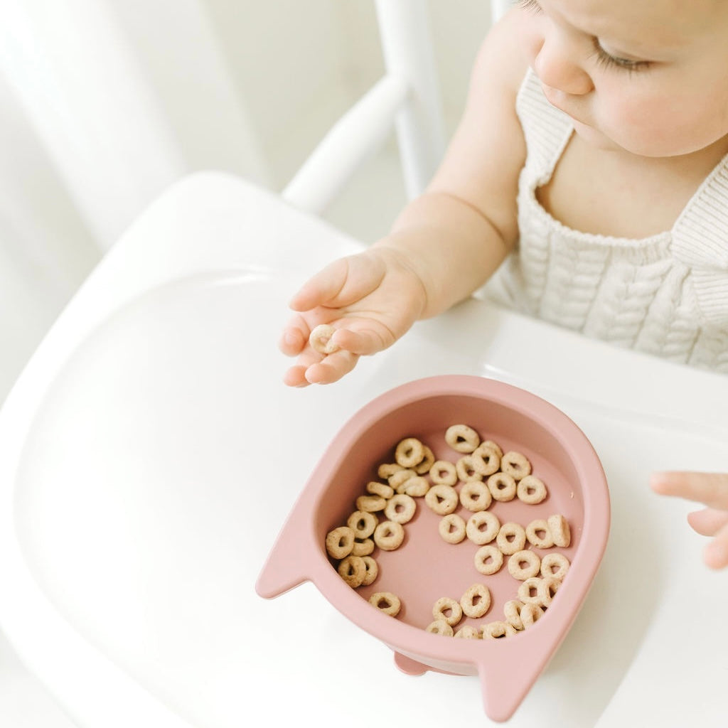 Wild Bites Cat Bowl