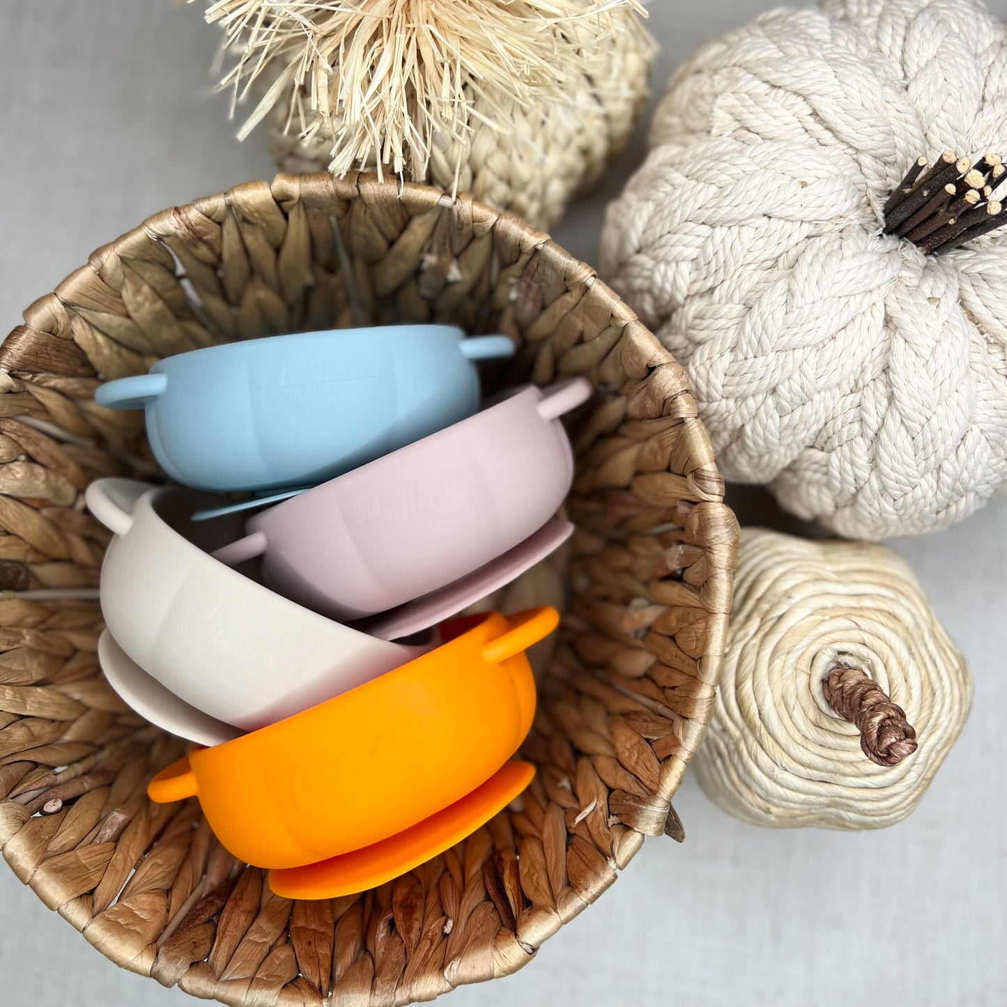 The Pumpkin Patch Suction Bowl