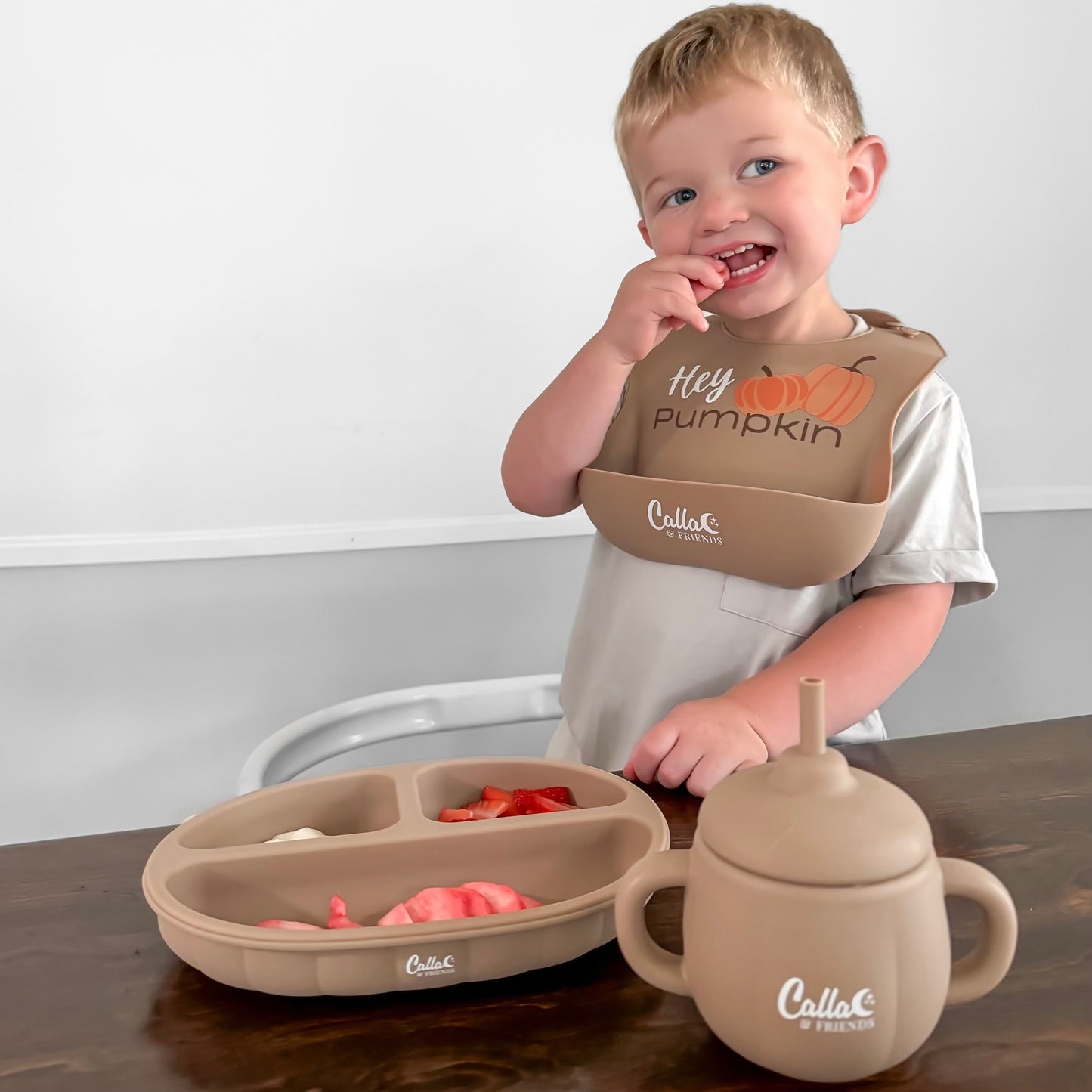 The Pumpkin Patch Suction Plate 2024