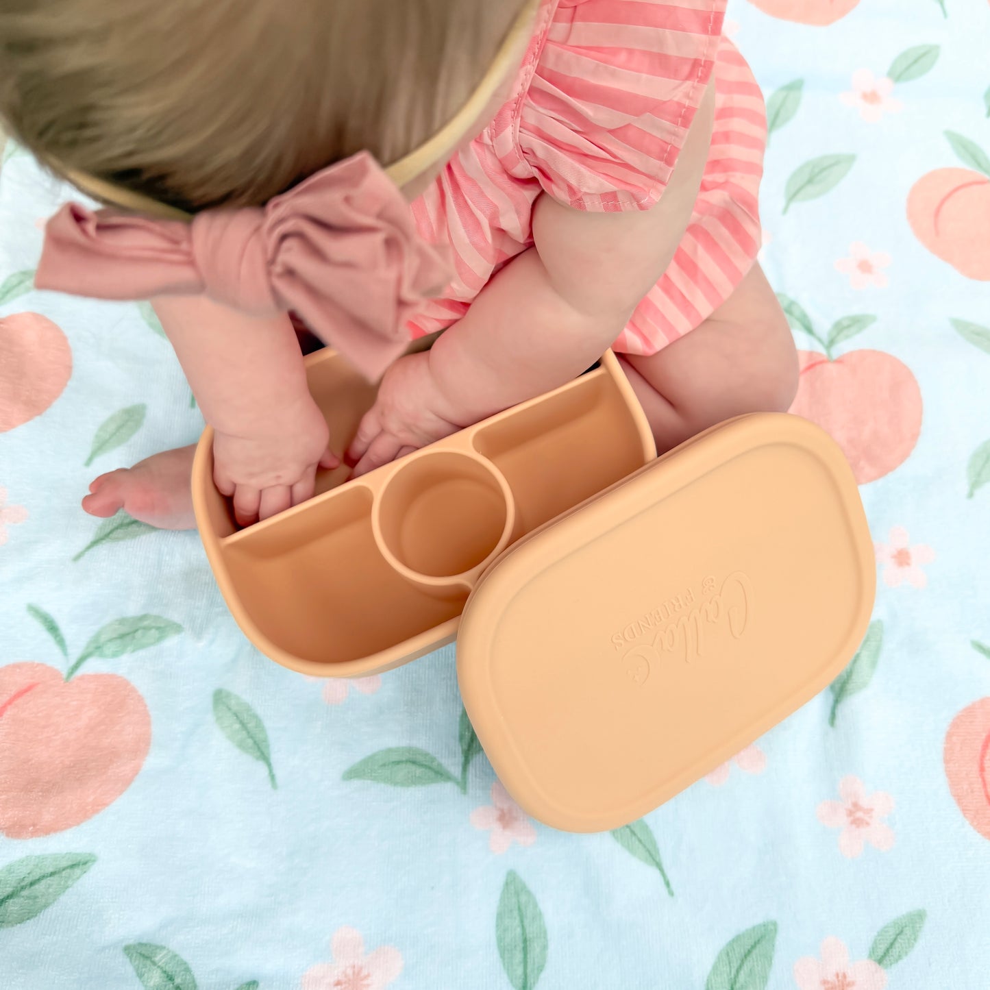 Hayden Bento Box - Peach Blossom