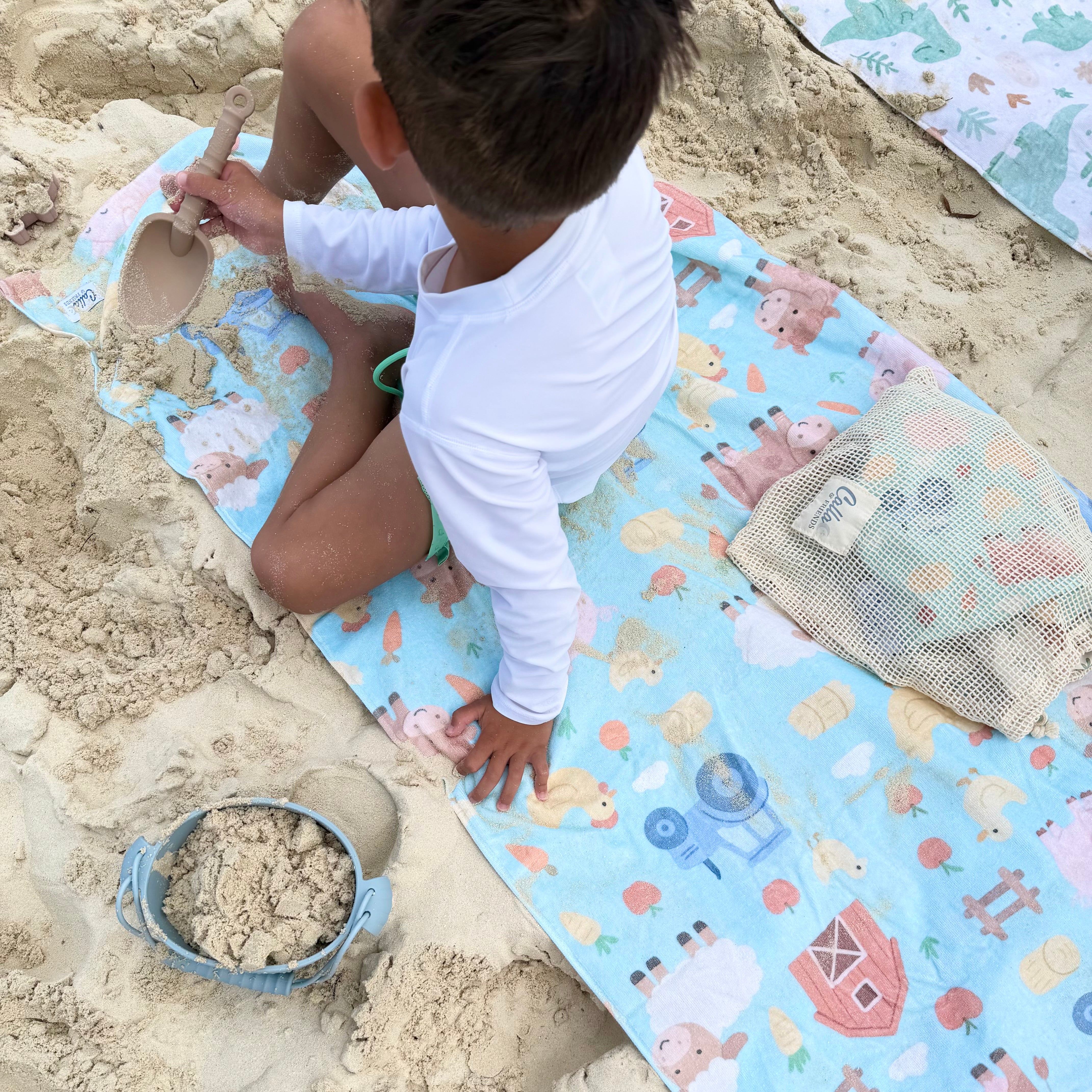Hazel's Farm Silicone Beach Toy Set – Calla and Friends