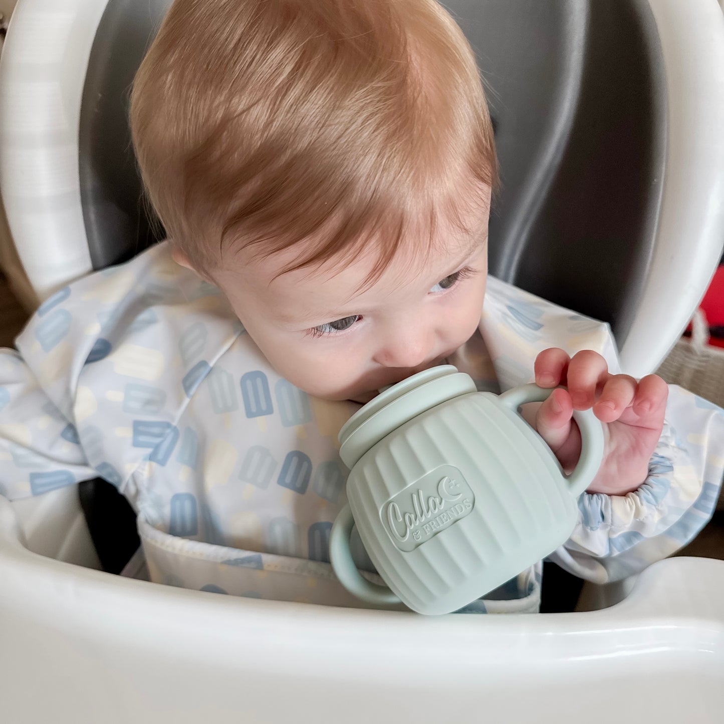 The Grayson Long Sleeve Bib - Popsicles