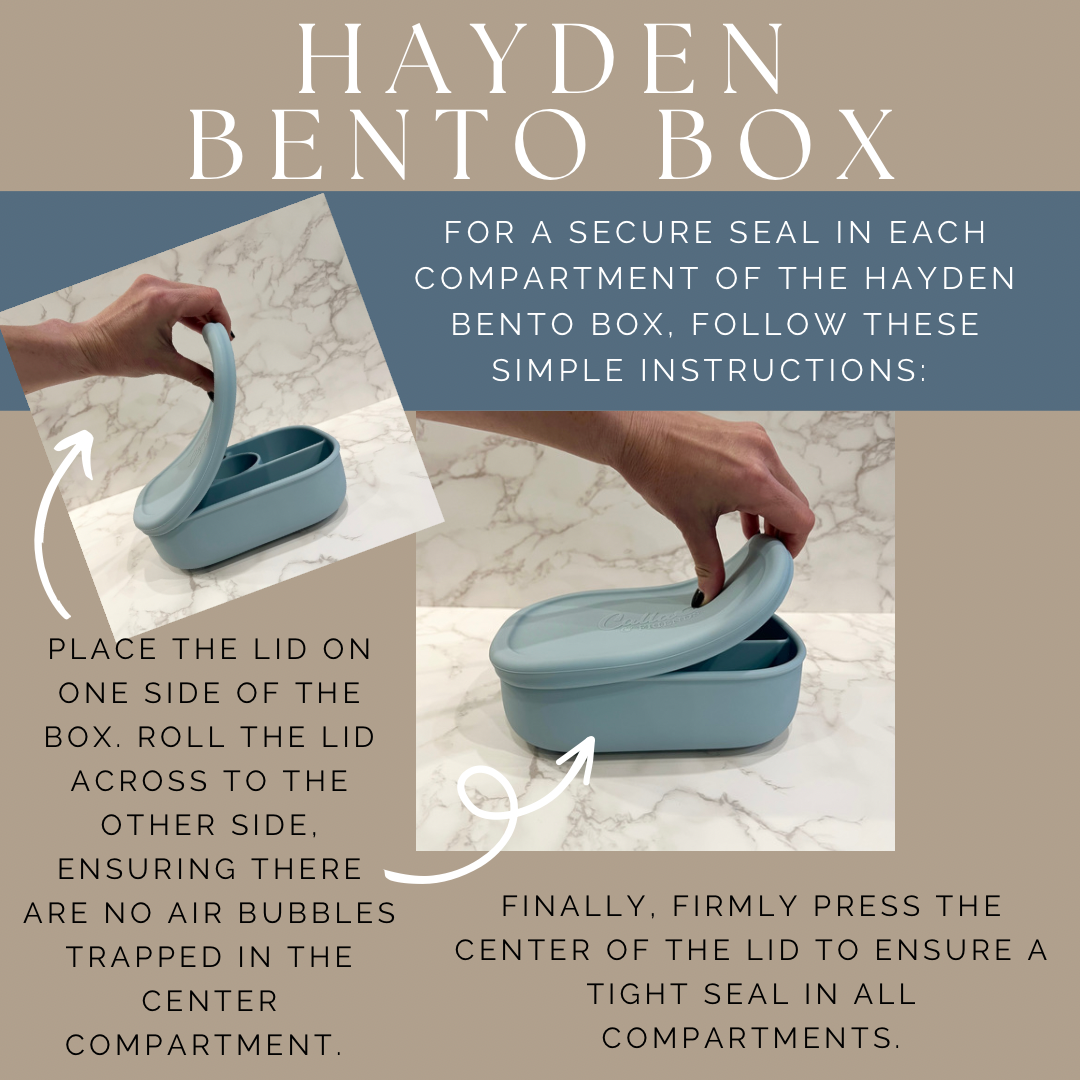 Hayden Bento Box - Powder Blue